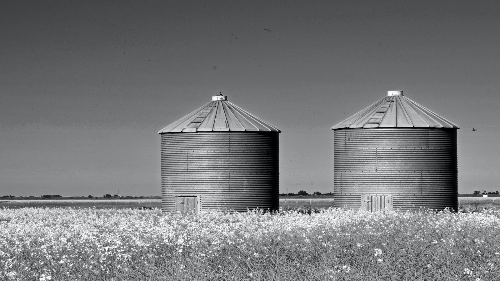 Two silos on a farm